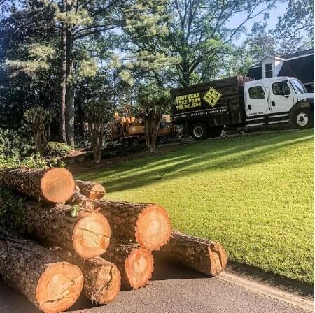 Tree Removal Company