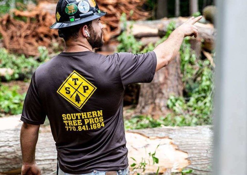 An arborist providing services in Atlanta, GA