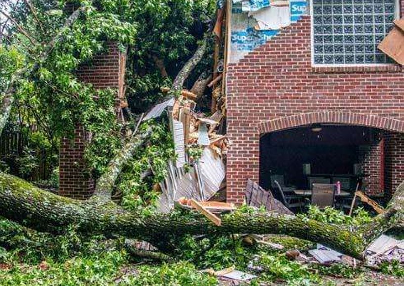 A successful emergency tree service job in Atlanta, GA