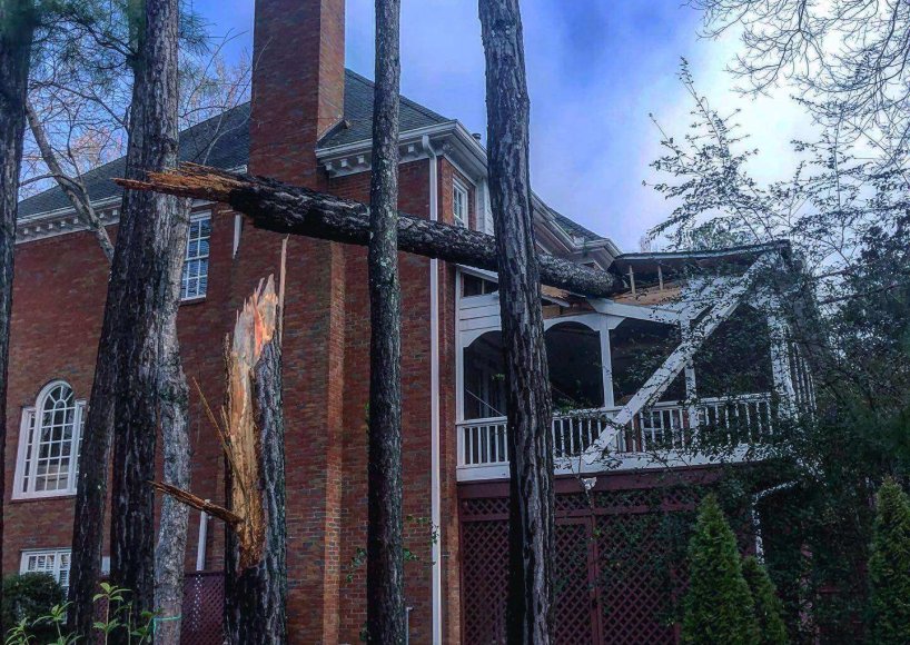 Emergency tree services completed in Atlanta, GA