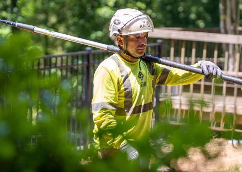 A successful tree pruning in Atlanta, GA