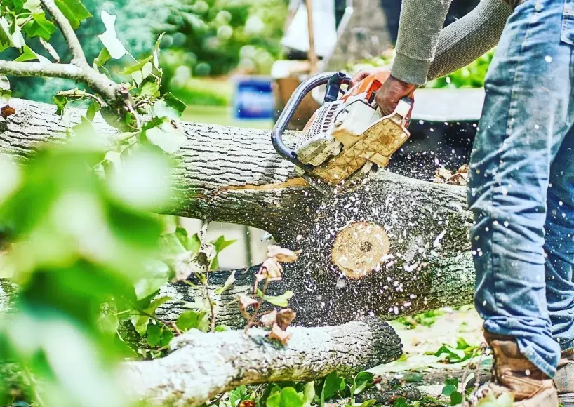 The team removing a tree in Alpharetta, GA