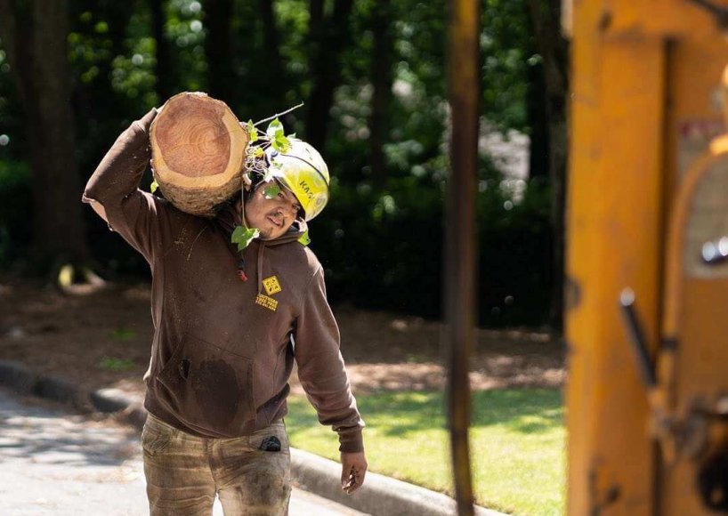 A tree removal job in Johns Creek, GA