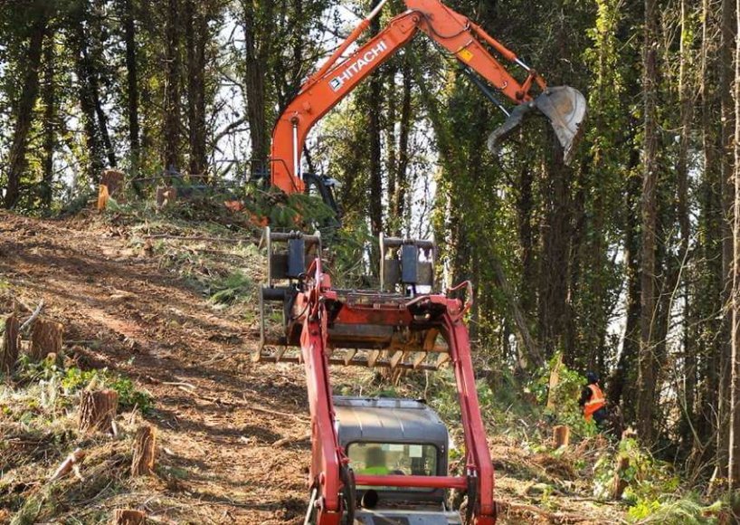 A tree removal job in Sandy Springs, GA
