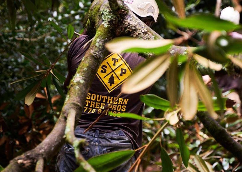 The Southern Tree Pros team completing a tree service job in Marietta, GA