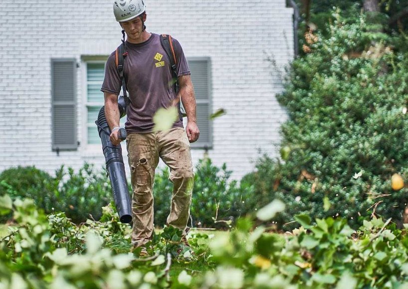 A successful tree trimming in Marietta, GA