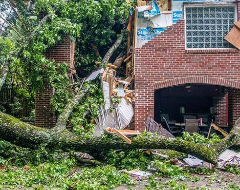 emergency tree services