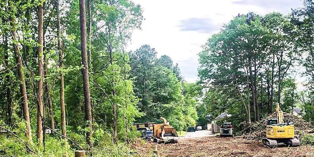 how to preserve trees during construction