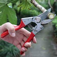 Pruning Clippers
