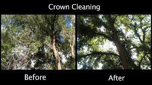 Crown Clean