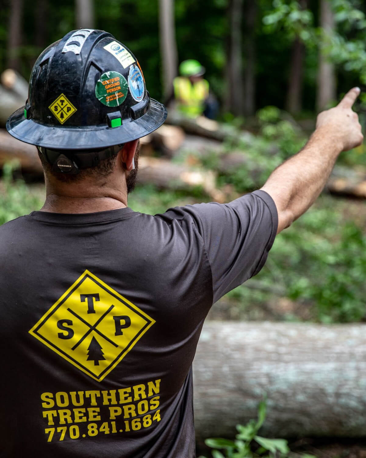 arborist services