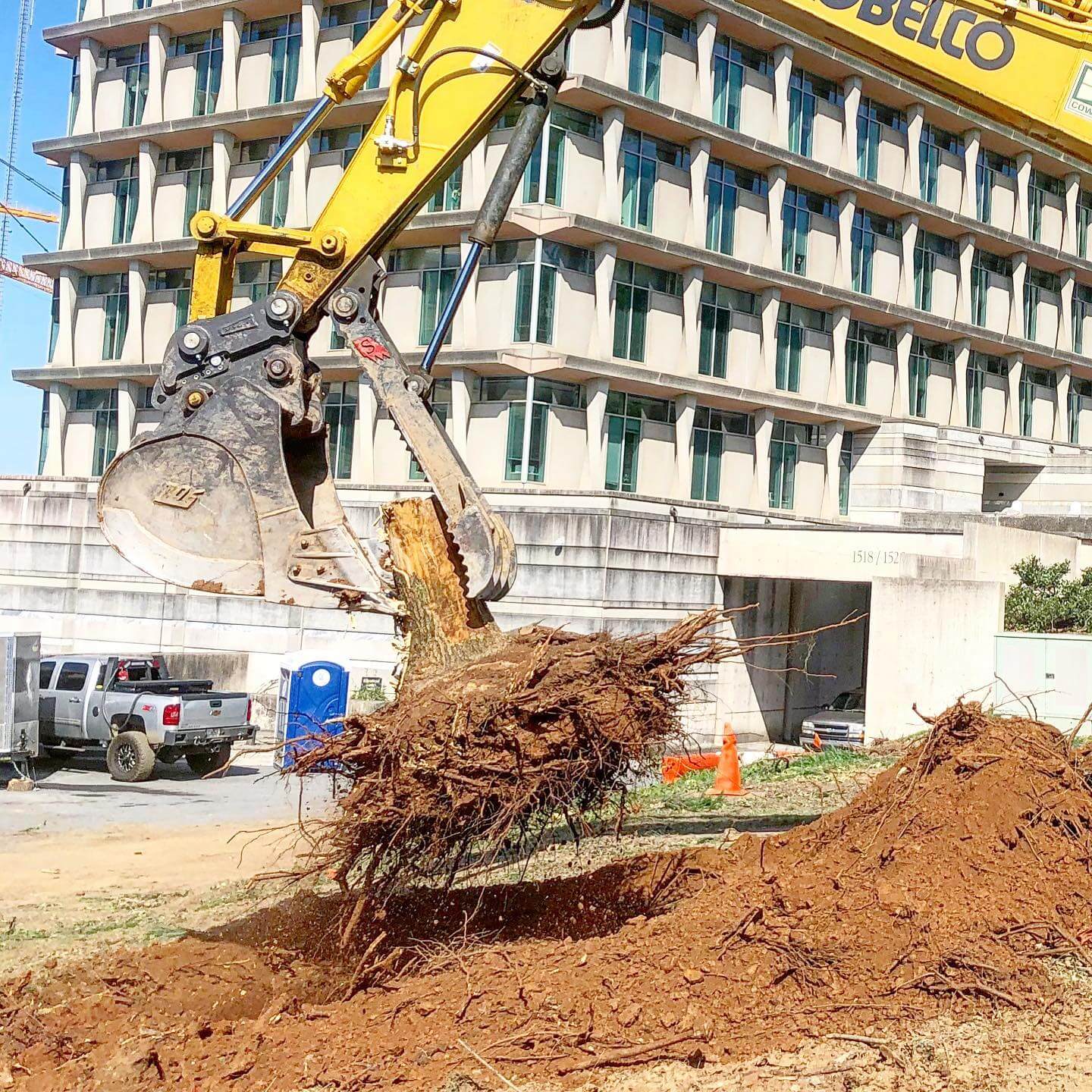 Stump Grinding