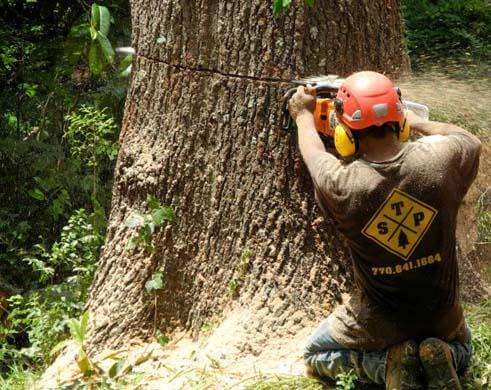 A successful tree removal in Atlanta, GA