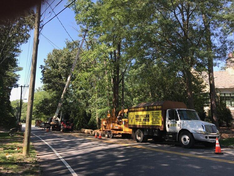 tree service Atlanta GA