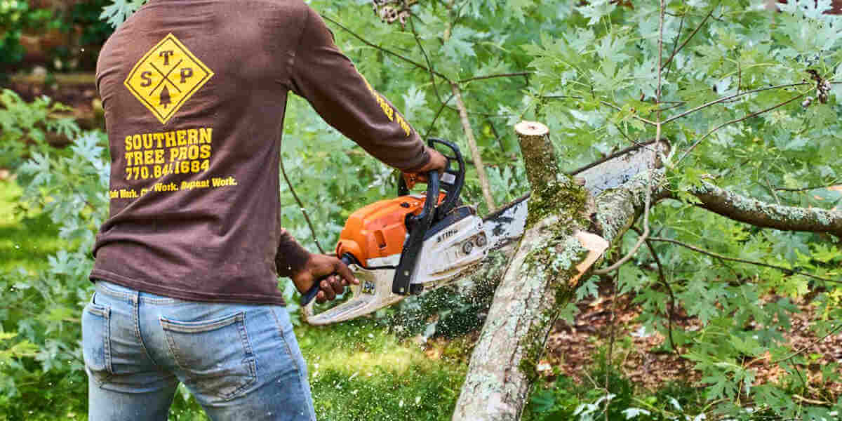 who to call for tree branch removal
