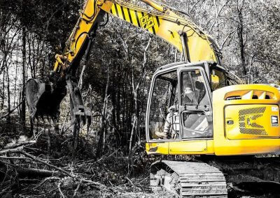 Lot clearing services